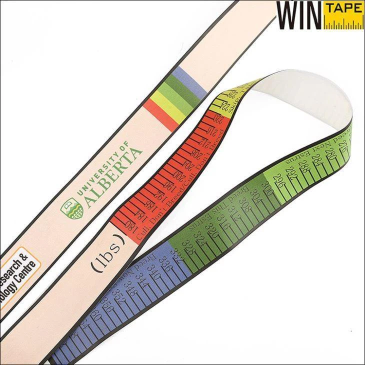 wintape-custom-tape-measures.webp