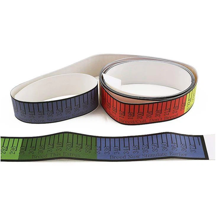 wintape-custom-measuring-tapes.webp